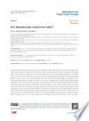 Are hepatocytes endocrine cells?