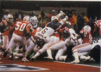 1985 Chicago Bears season