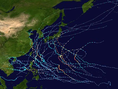 2019 Pacific typhoon season