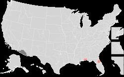 2025 United States Elections