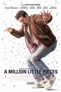 A Million Little Pieces (film)
