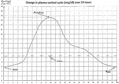 Adrenal crisis