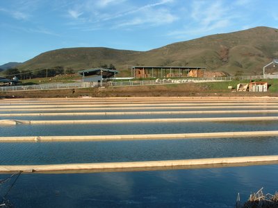 Agricultural Wastewater Treatment