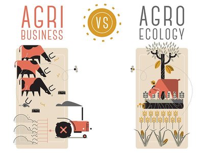 Agroecology