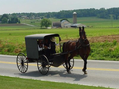 Amish