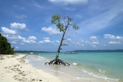 Andaman And Nicobar Islands