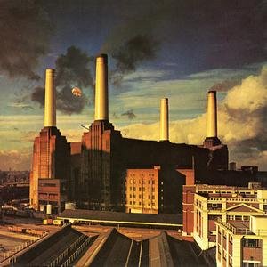 Animals (Pink Floyd Album)