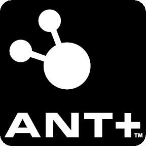 Ant (Network)