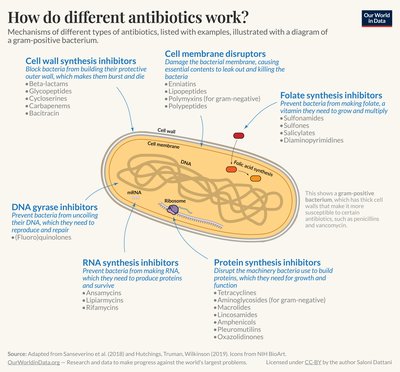Antibiotic