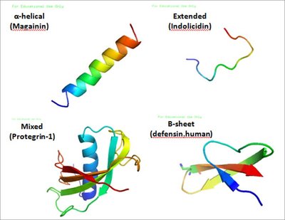Antimicrobial Peptides