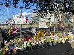 Astroworld Festival Crowd Crush