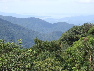 Atlantic Forest