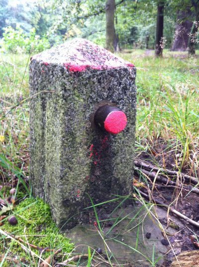 Benchmark (Surveying)