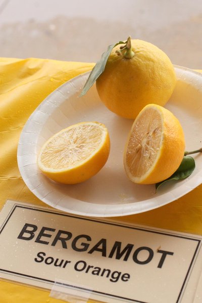 Bergamot Orange