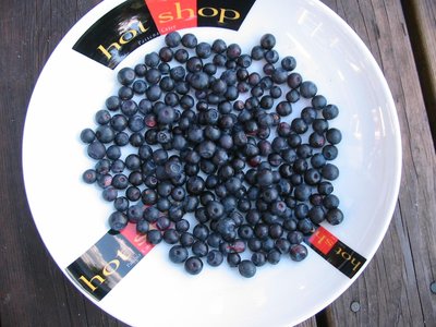 Bilberry