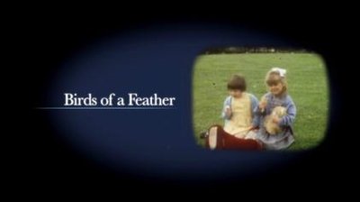 Birds Of A Feather (Tv Series)