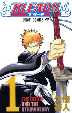 Bleach (Manga)
