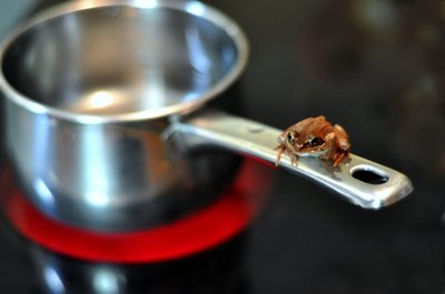 Boiling Frog