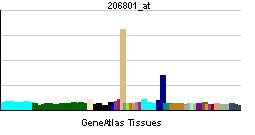 Brain natriuretic peptide 32