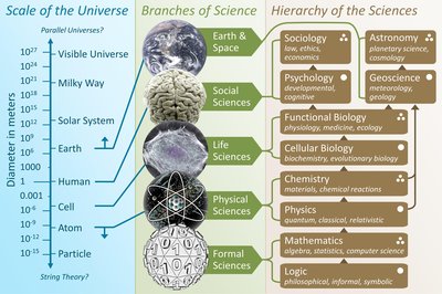 Branches of science