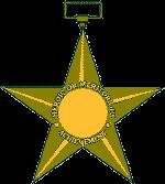 Bronze Star Medal