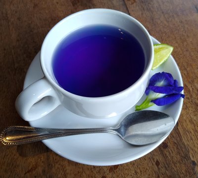 Butterfly Pea Flower Tea