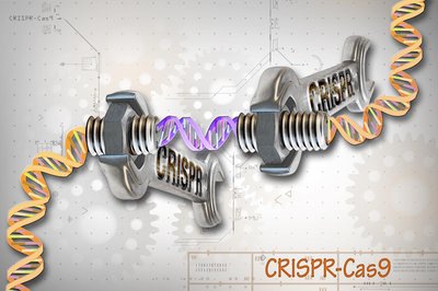 Cas9