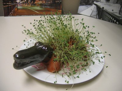 Chia Pet