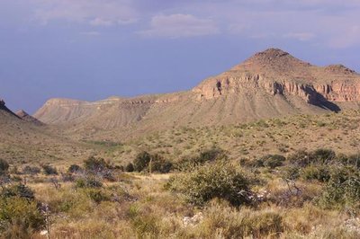 Chihuahuan Desert