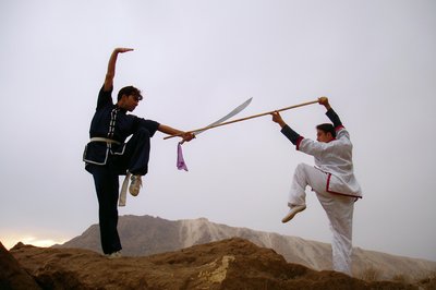 Chinese Martial Arts