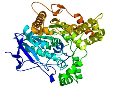 Cholinesterase