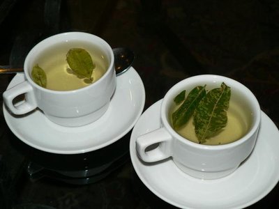Coca tea