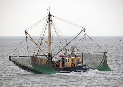 Commercial Fishing