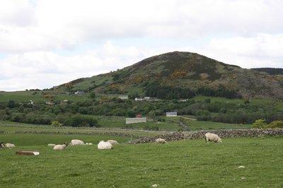 County Down