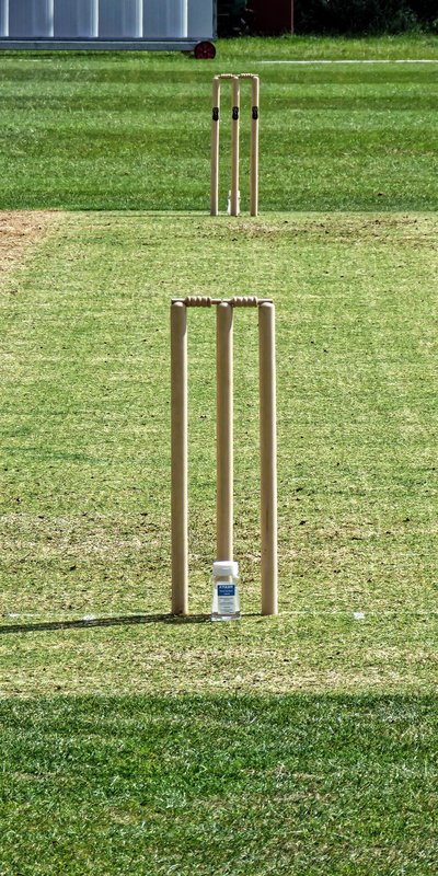 Cricket pitch