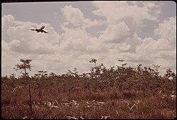 Dade-Collier Training and Transition Airport