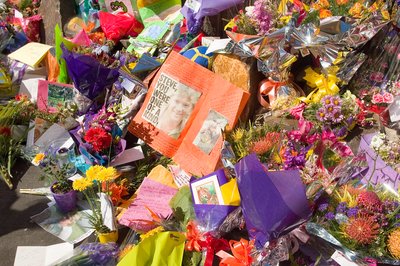 Death Of Steve Irwin