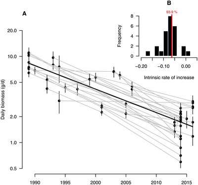 Decline In Insect Populations