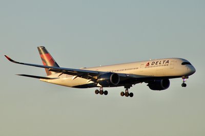 Delta Air Lines