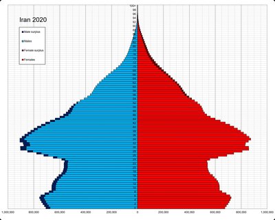 Demographics Of Iran