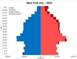 Demographics Of New York City