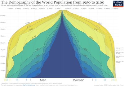 Demography