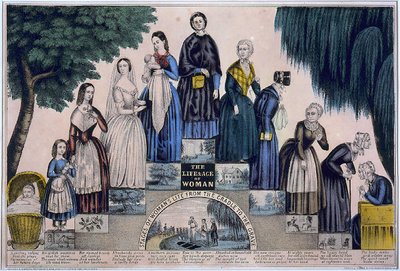 Developmental Biology