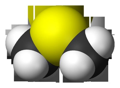 Dimethyl Sulfide
