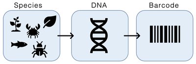 Dna Barcoding