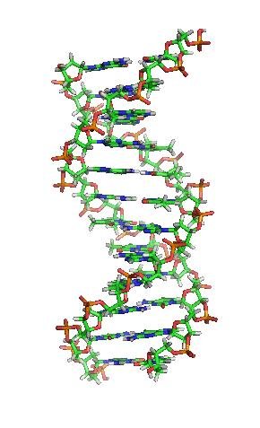 Dna Computing