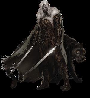 Drizzt Do'Urden