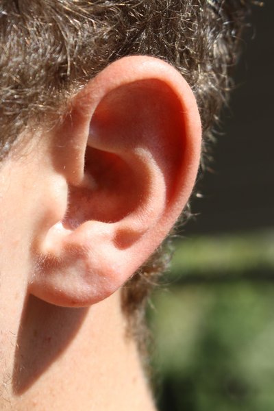 Ear