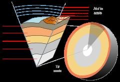 Earth's Outer Core