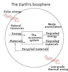 Ecological economics